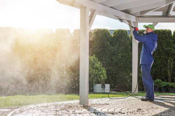 Best Driveway Cleaning and Restoration in Vienna, IL